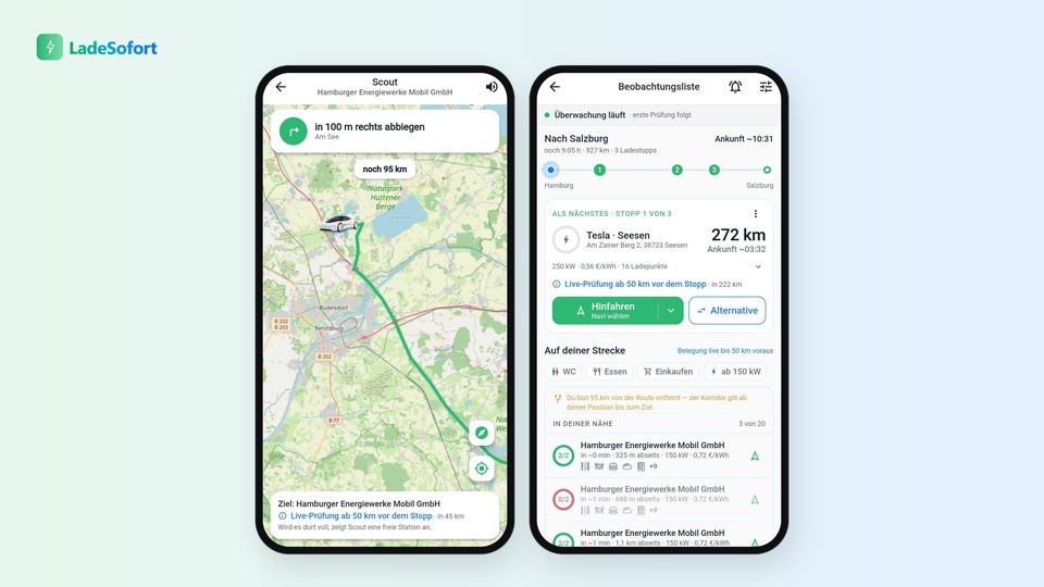 Bildtafel mit Scout-Navigation und Beobachtungsliste