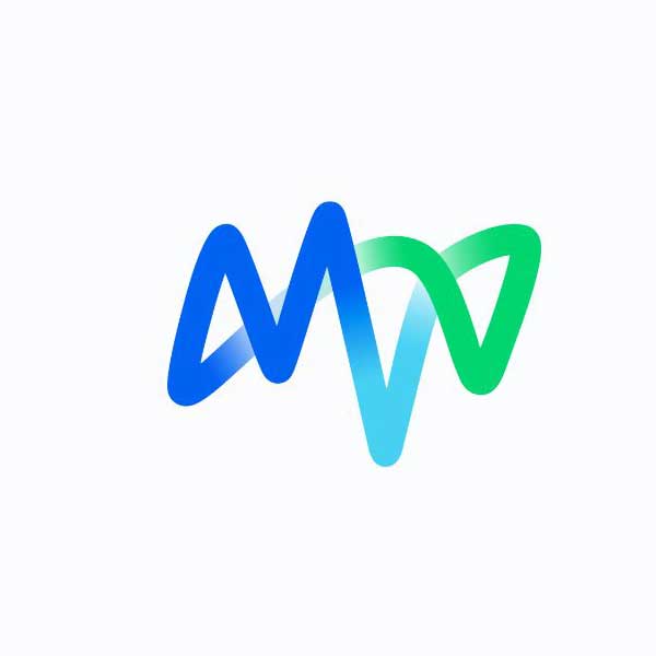 MVV Enamic Logo
